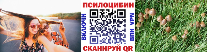 Псилоцибиновые грибы Magic Shrooms где найти наркотики Ершов